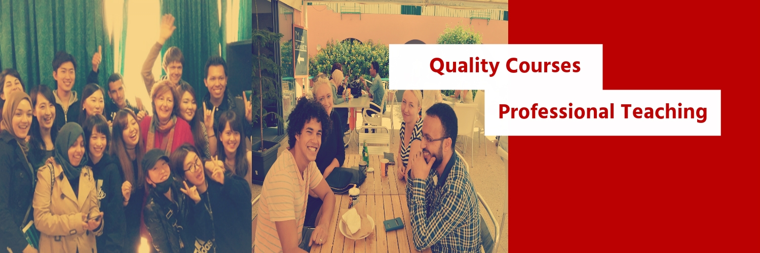 Quality Courses, Professional Teaching