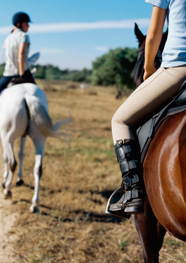 horse riding activity